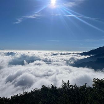 大好きな雲海