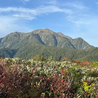越駒山頂！タイトル画像、これにしようか迷ったほどの絶景