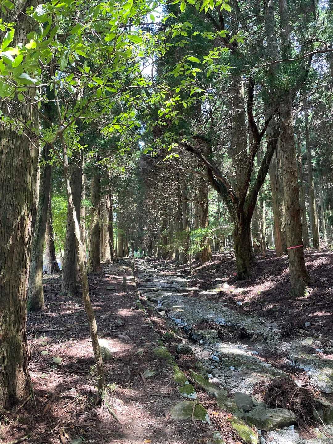 九州自然歩道