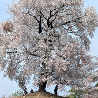 御牧山がみえる