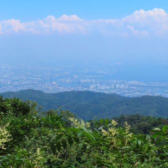 みよし観音の近くからの展望
