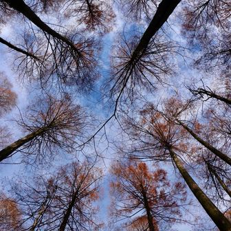 定番のアングル。