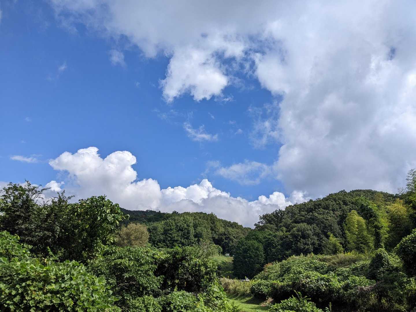 今年はいつまでも暑いです🥵