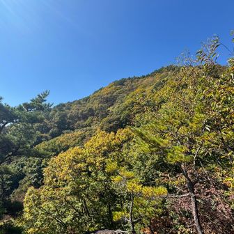 いい感じに色づいてきてます🎶