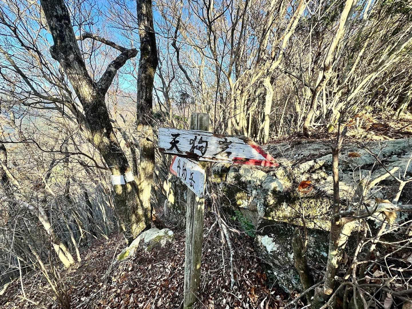 天狗岩分岐

ここからは危険箇所はなく♪
テクテク🐾