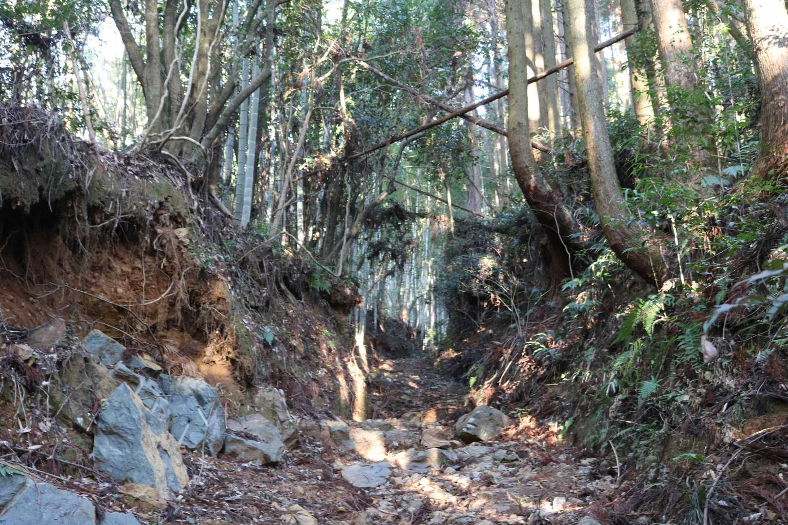 中宮まで、このような直登が続きます