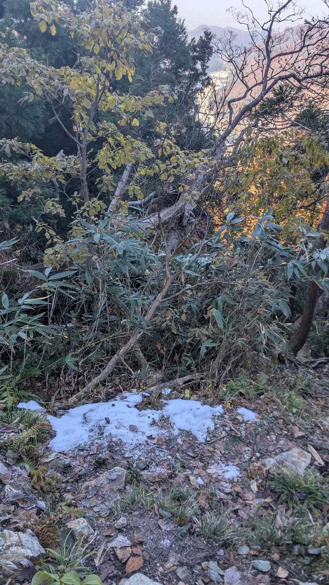 1400㍍位だったかな？
最初の雪発見