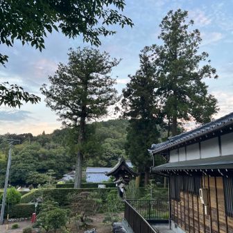 下山
キノコの名前は何わからんけど