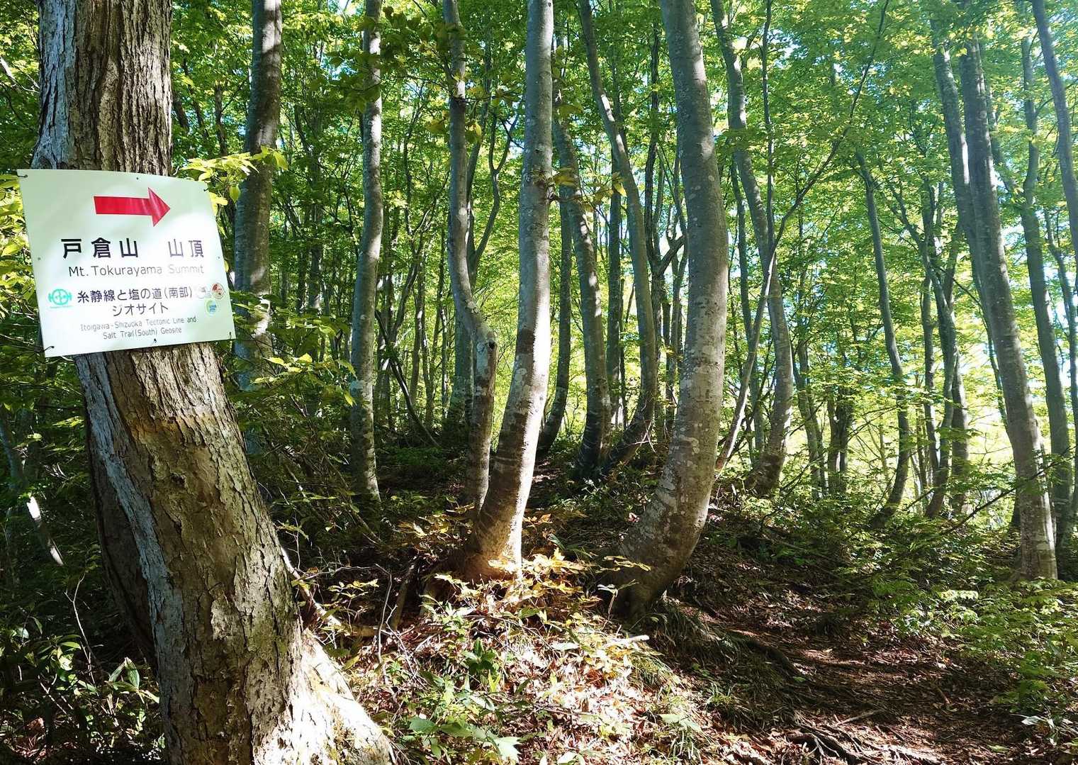 ここから、なかなかの急登で…