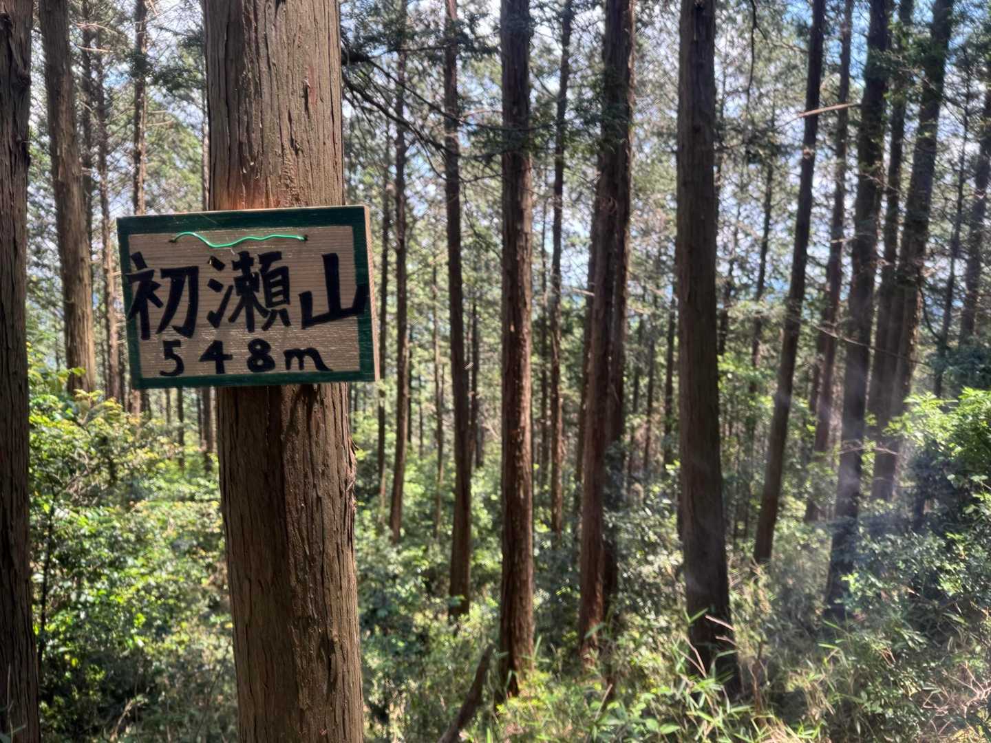大和朝倉駅-白山登り口-白山-巻向山-高山神社-初瀬山-初 縦走コースの写真