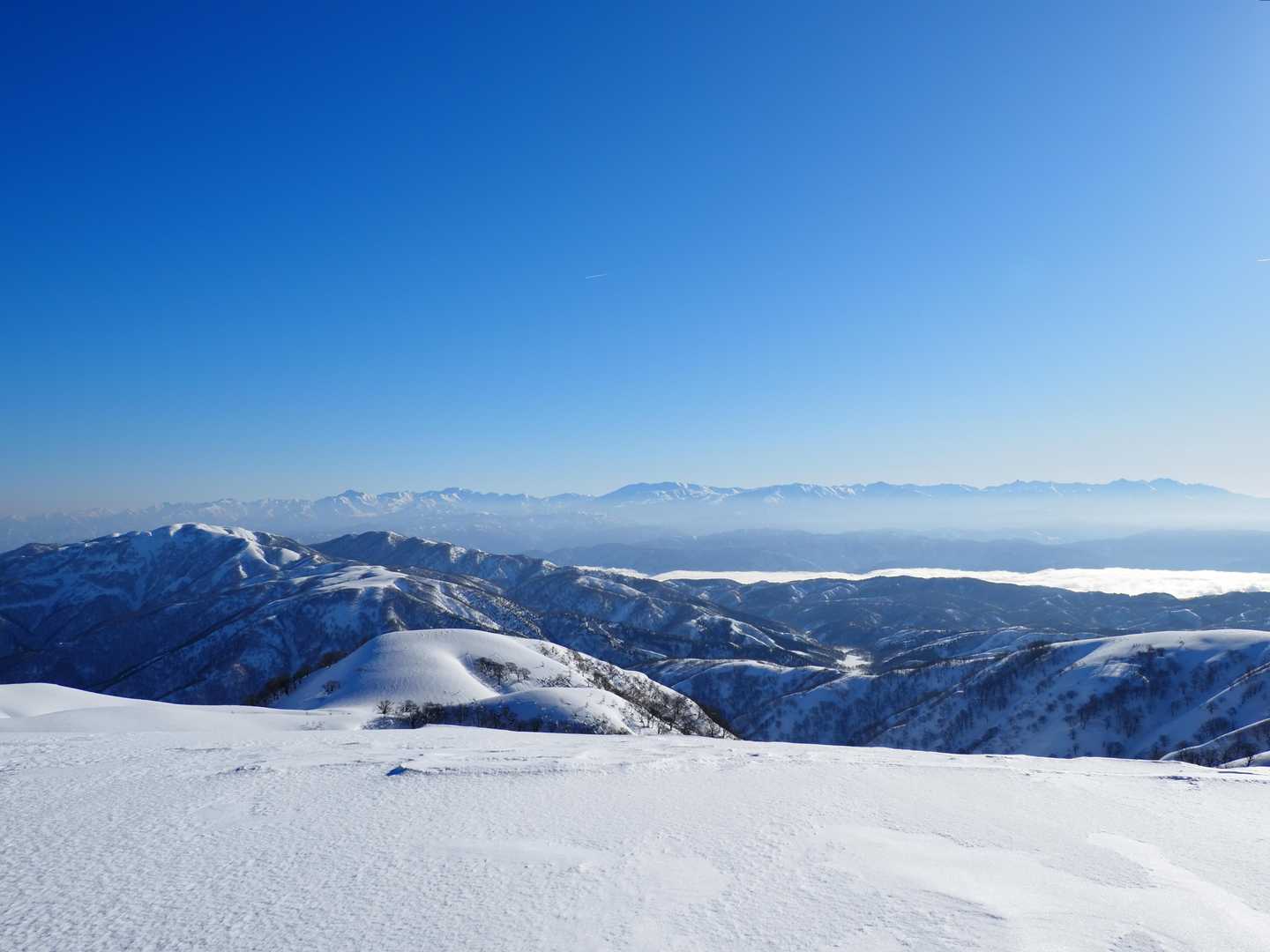 中金剛堂山まで戻って、
穂高から後立山連峰までズラリ北アルプス✨
