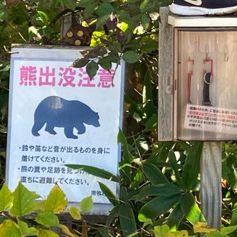 ここにも熊🐻