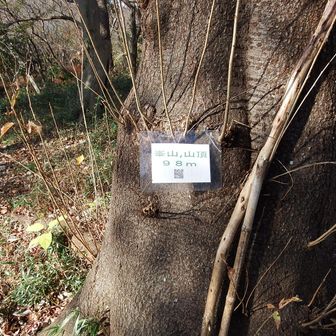 峯山山頂到着です。
