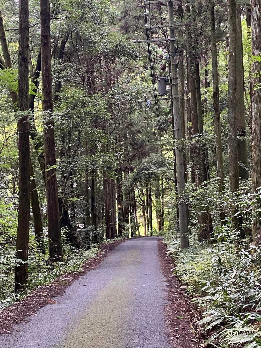 長い…そしてアブ🪰に追いかけられる
ダッシュして疲れる🏃‍➡️