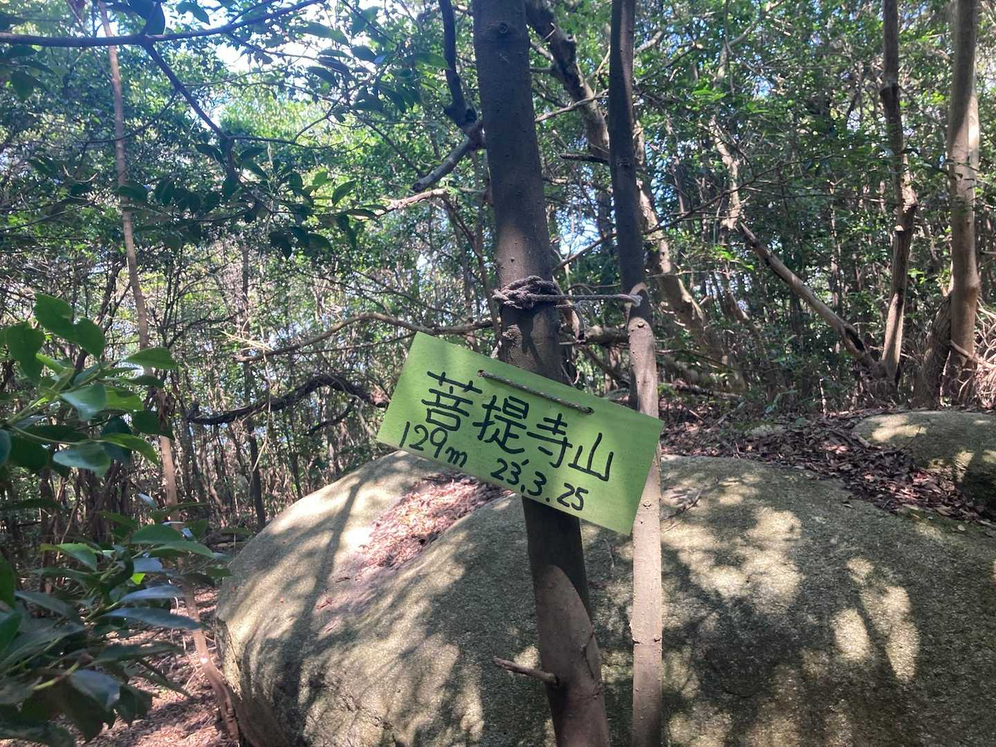 熊野神社-菩提寺山 往復コースの写真