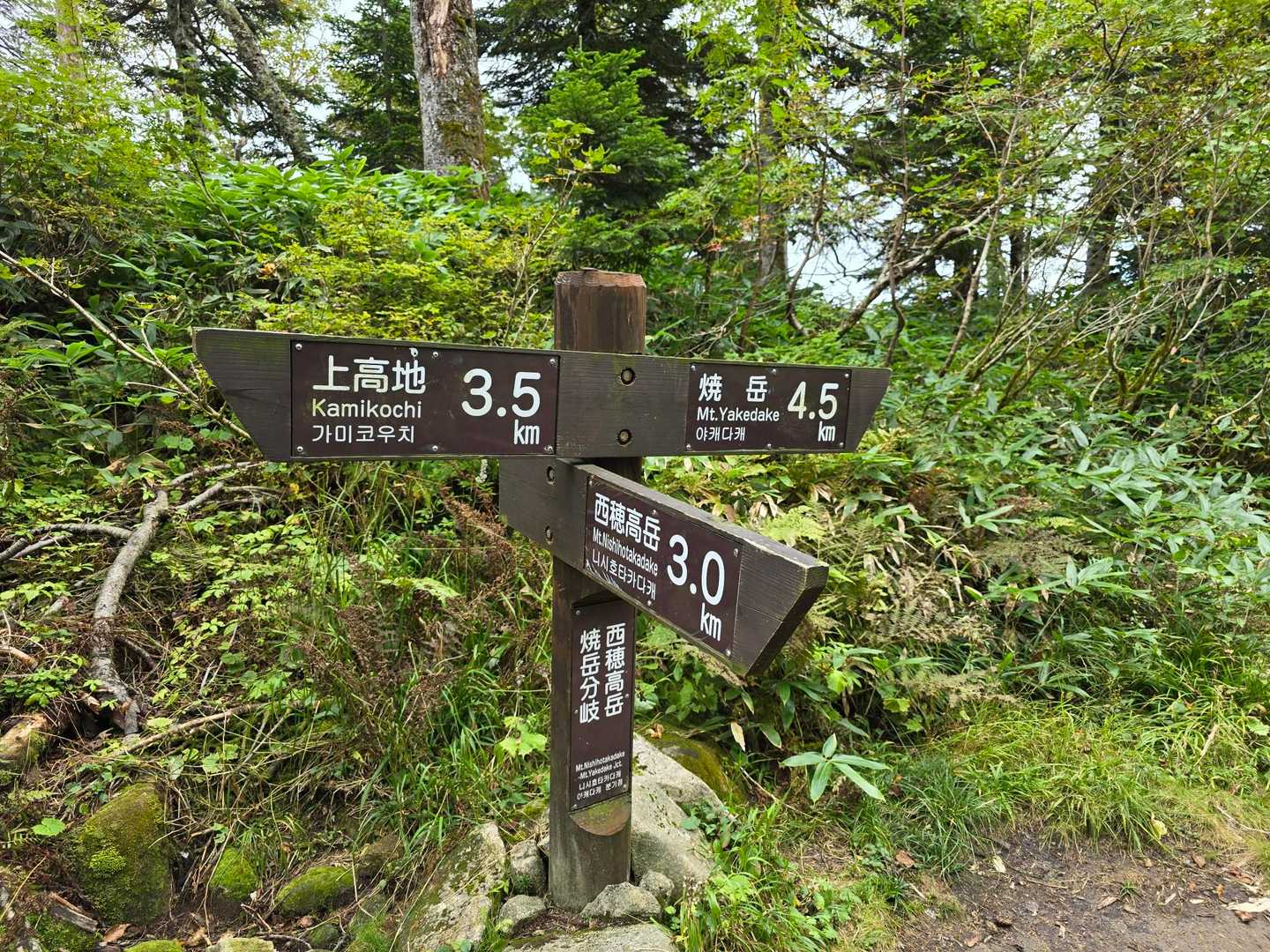 こっちからも焼岳行けるんだ😲