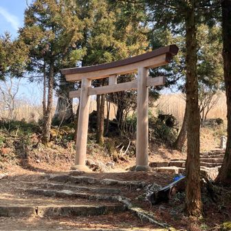 新しい鳥居⛩️をくぐって