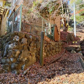 ここから長尾尾根で登り返し💪