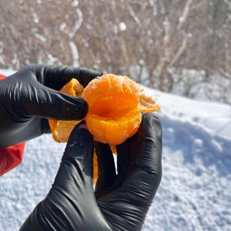 割れてるっっ！！！∑(ﾟДﾟ)

半信半疑だった山シェフを驚かすことに成功
(≧∀≦)b