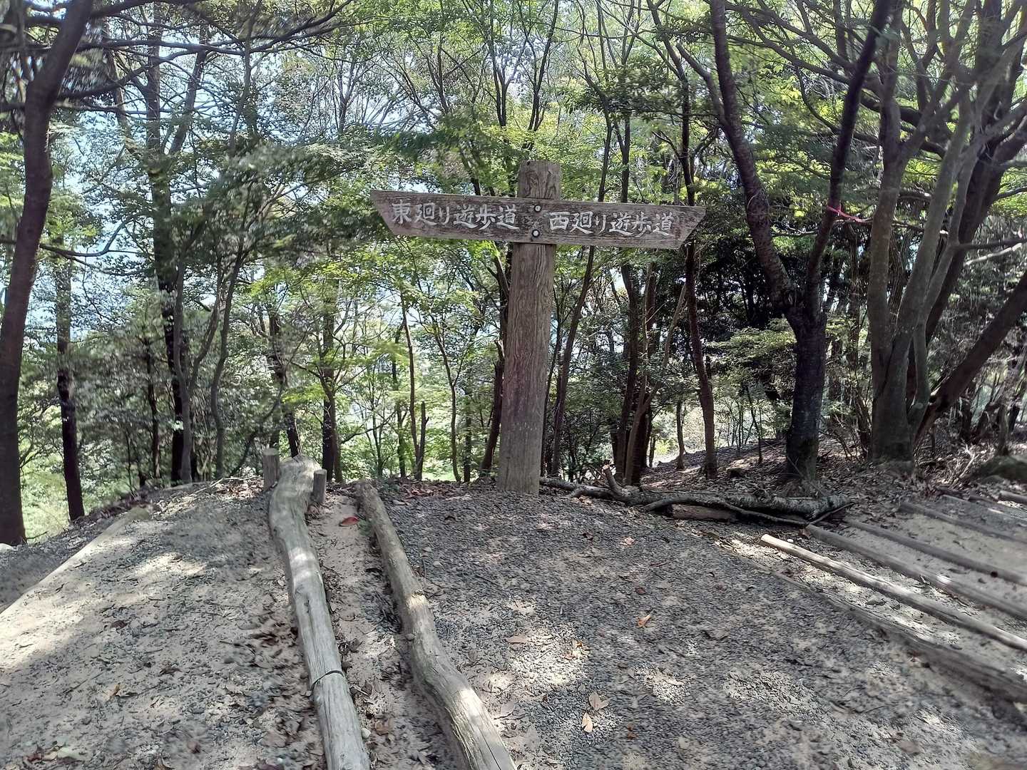 帰りも東廻りでテケ🚶テケ🚶テケ~🚶
疲れが出てる時こそ
せんさんに教えてもらったように、5指でしっかり歩こう😄