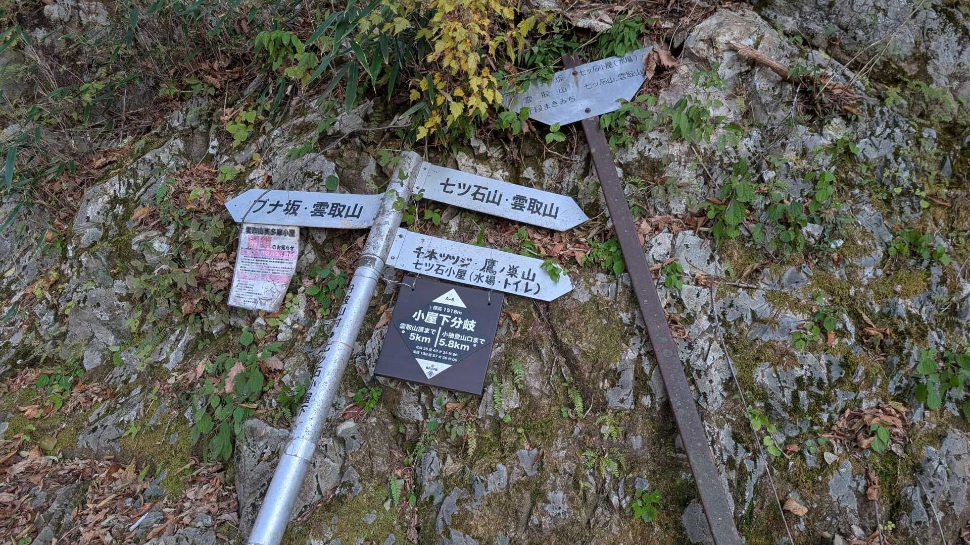 分岐！
