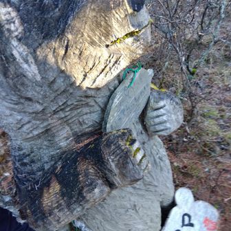 本物には会いたくない