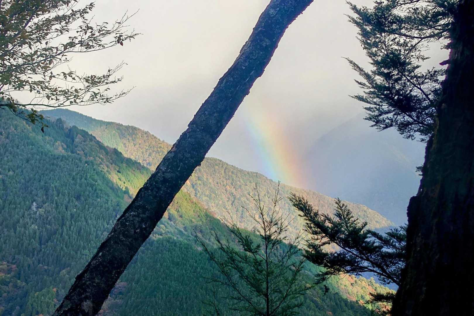 虹！🌈