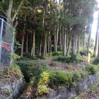 トンネルくぐってすぐ
入山
罠に小鹿が捕らわれていた
気の毒だが何もできない


尾根より少し右に古道


