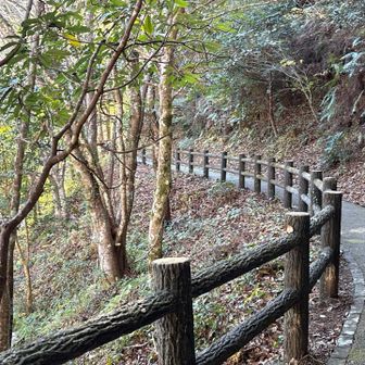 遊歩道は整備されています