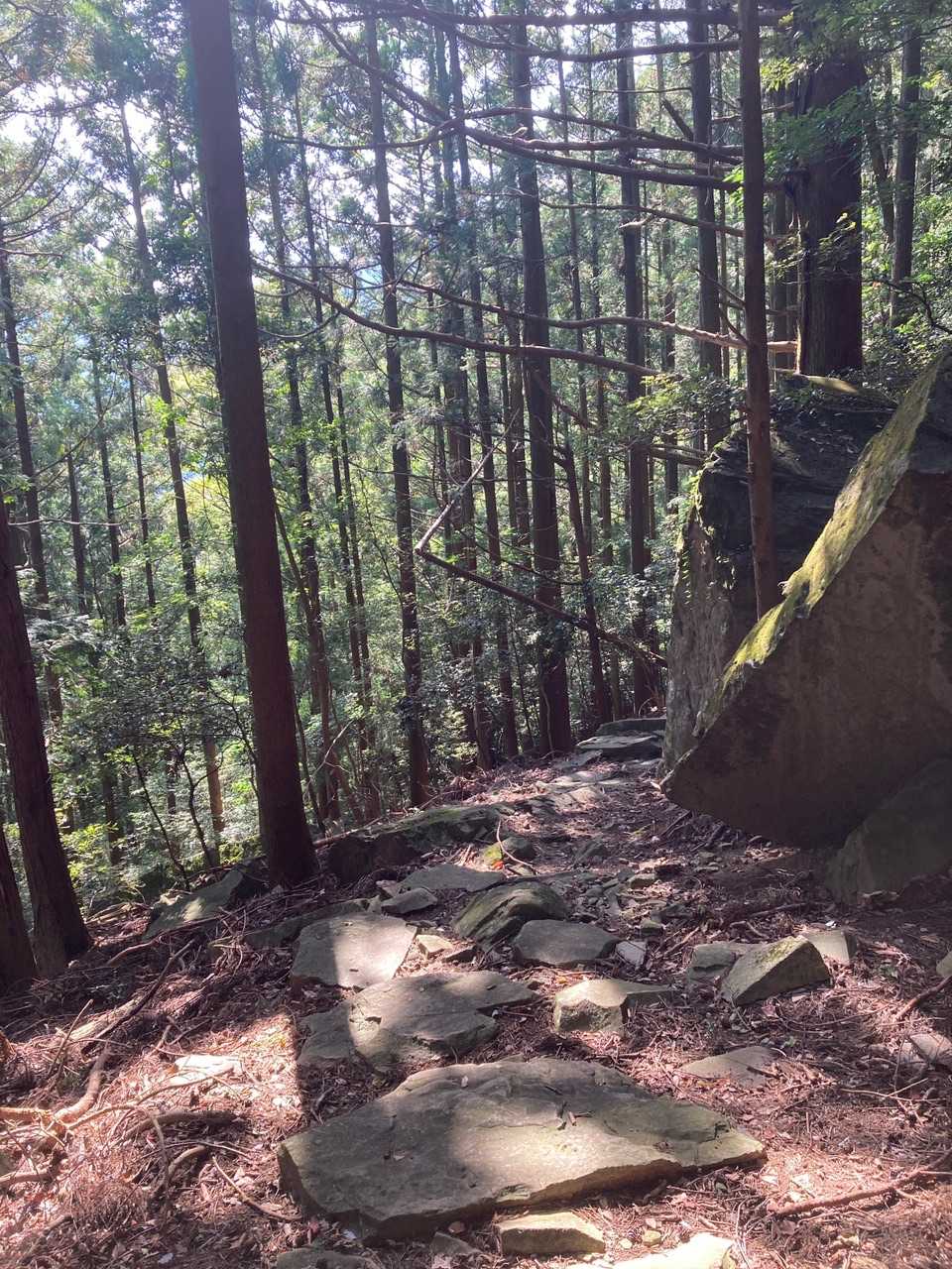 気持ち良い山道