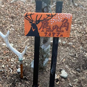 2回目の鹿の角🫎。は女山なん🙄❓舞妓さんチックな標識やね☺️👍