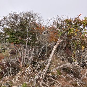 下山します。