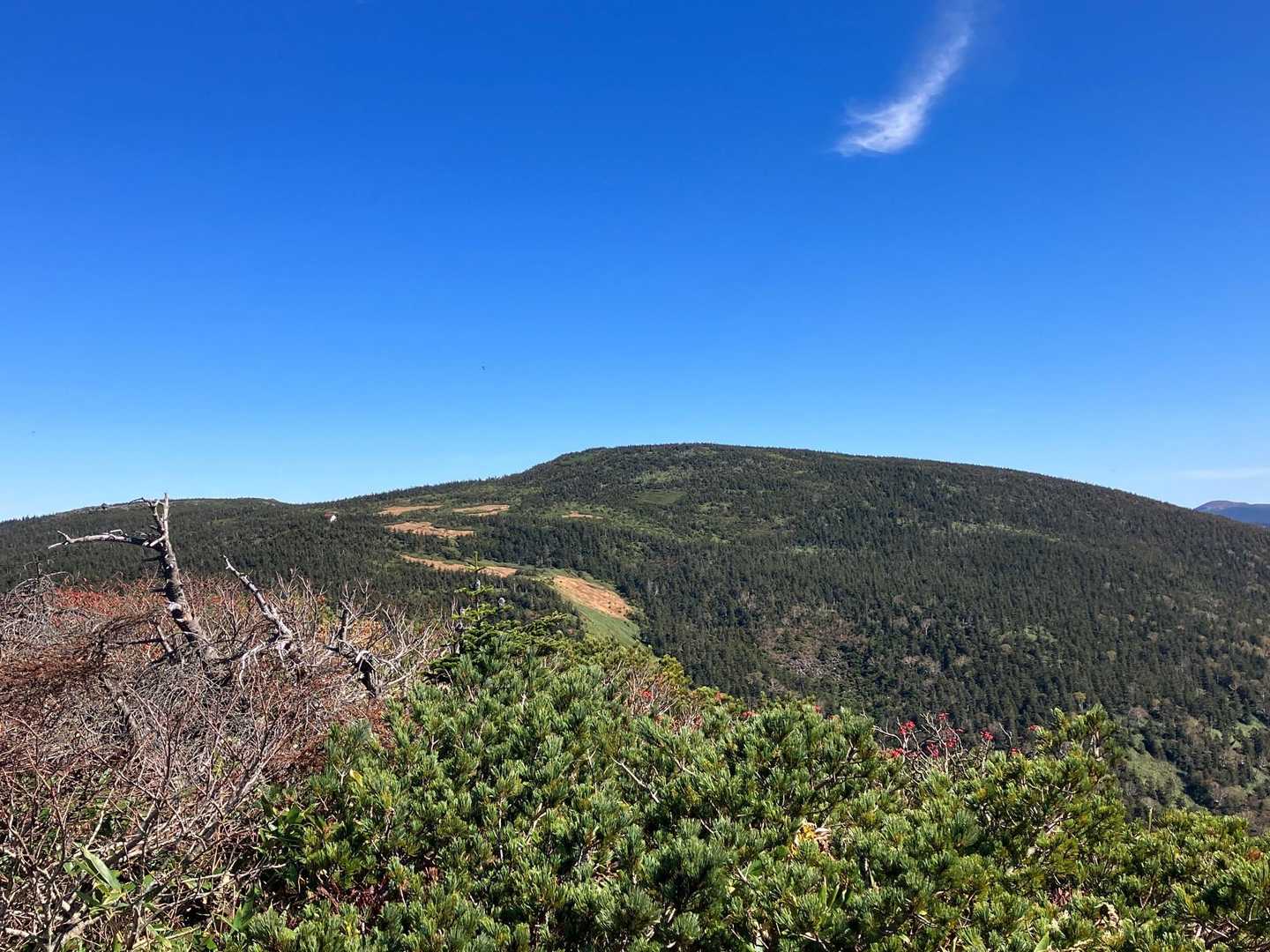 西大巓⛰山頂からの眺望🏞️
西吾妻山🗻