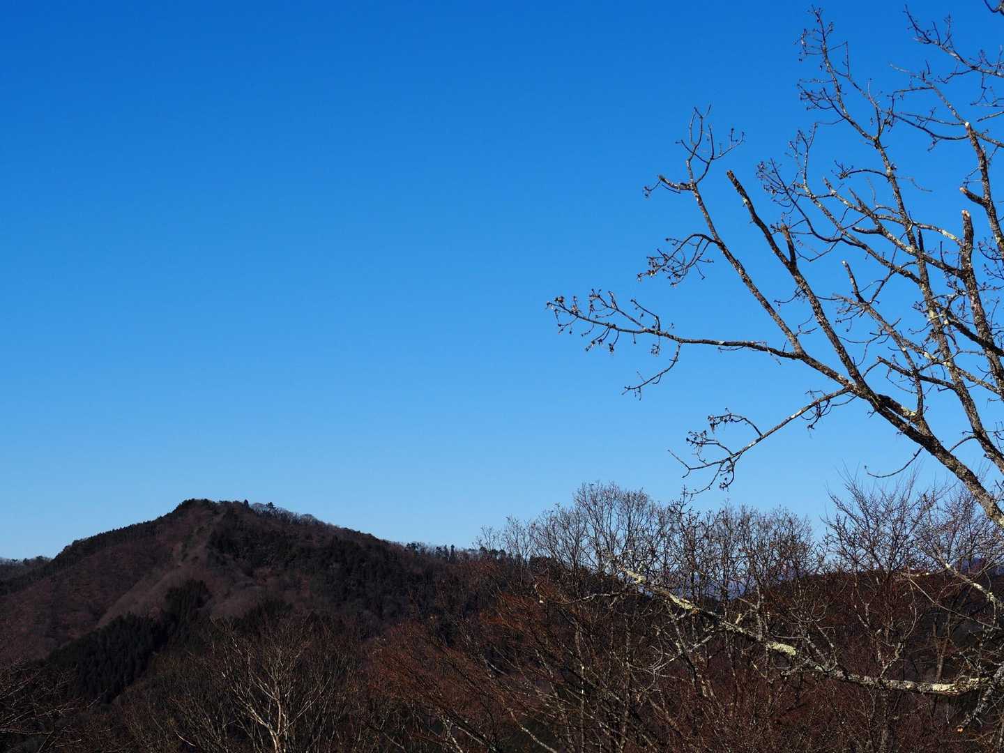 正籐山