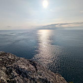 太平洋🌊