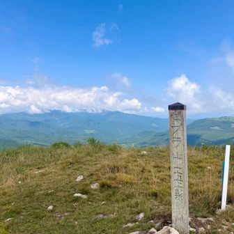 ゼブラ山、1,776m登頂しました！
最後の登りがキツかった