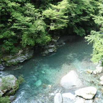 水が、綺麗すぎる