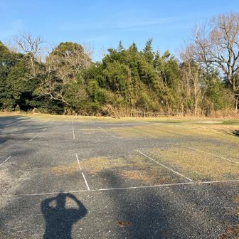 平日は無料です。まだ誰もいません。下山時は10台以上停まってました。