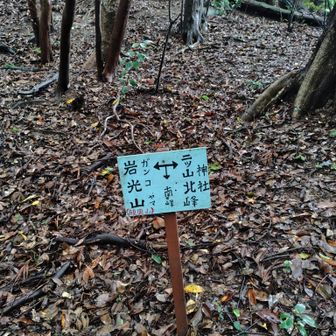 分岐。