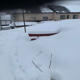 登山口の鳥居は埋まりそう