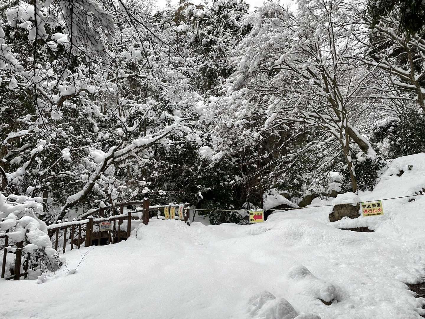 入山者の痕跡なし！
練成開始