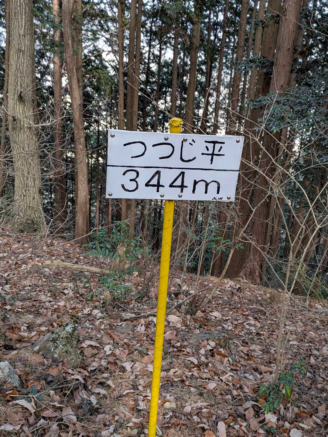 二股山登山口-二股山-下沢城跡 周回コースの写真