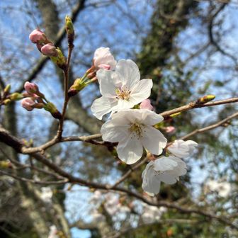 3月22日(日)

今日も飯田公園スタート。