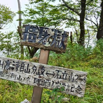 西峰（捨身ヶ嶽）へ着。
