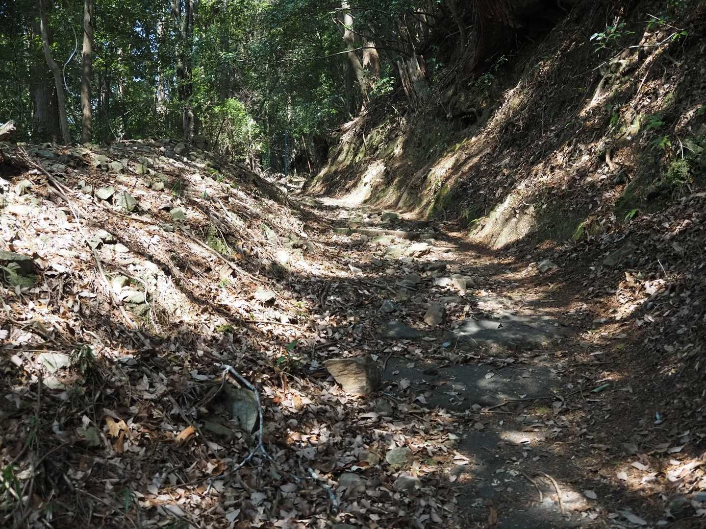 山道テクテク
き、昨日の疲れが…足があがらない〜😆