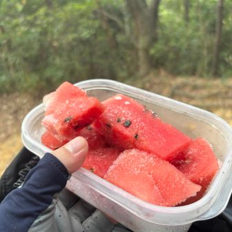 凍らせスイカ、かき氷みたいで🍉🍧
クールダウンできた
