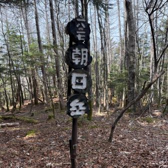 三角点名：朝日嶽

タイムリミット30分オーバー。
はい、撤退します。
三十六計逃げるに如かずってね。
しぞーか集の真骨頂の尻尾巻いて逃げるこの逃げ足の速さを見せてやんよ。
失敗ではなく英断。
次に繋げるための布石や。
いつもなら突っ込むところだが、残念ながら今回は時間厳守なんでココで撤退が最適解だ。
計画がシビアなんでワンチャンは期待薄よ。
撤退の判断は早く、無茶はしない。
深南部の鉄の掟な。
勇気とは計算された挑戦。
無謀はただの危険行為や。
未踏尾根を1本消化したから上出来っしょ。
やはり取り付きに失敗したのがデカいよな。
あの戦犯さえ無きゃ全て計算通りの完璧な薮行になるはずだったんだが。
7時前に着いたのにワンパンマンの新刊読んだり賢者タイムでダラダラしてたのが原因という説を唱えるヒトも中にはいますが。
リスナー：言い訳が止まらんな