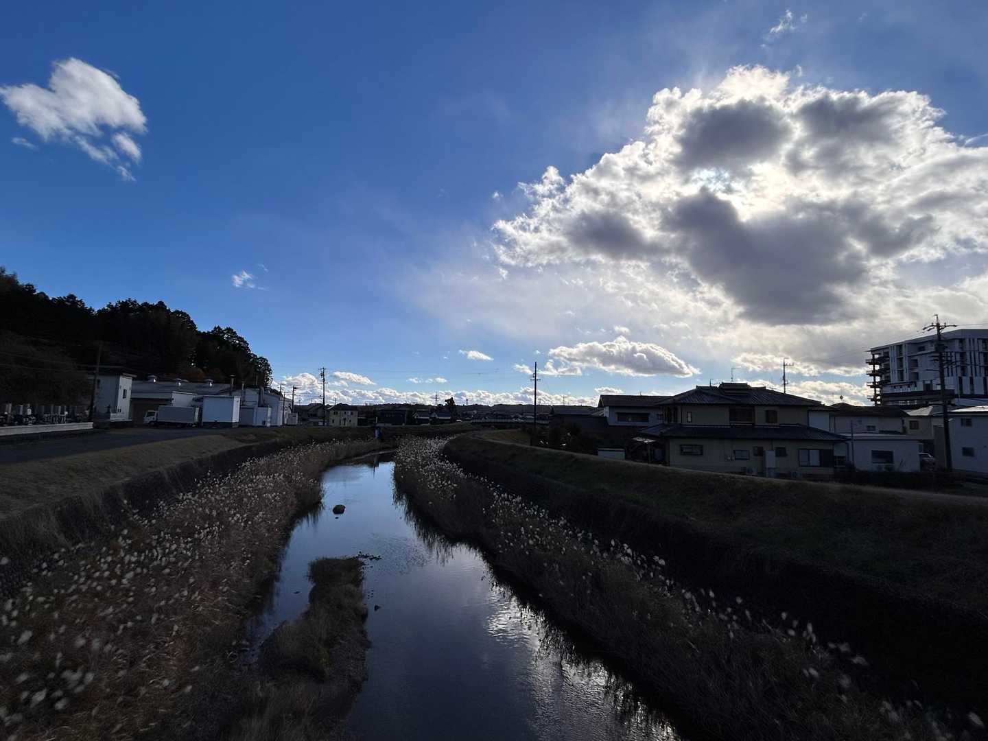 下山後は大津谷川沿いを歩いて駐車場へ。
千葉山が水源で冬鳥を観察できる川だそうですが、今日は一羽もいませんでした。