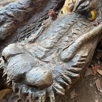 いつものドラゴンドアップ🐉