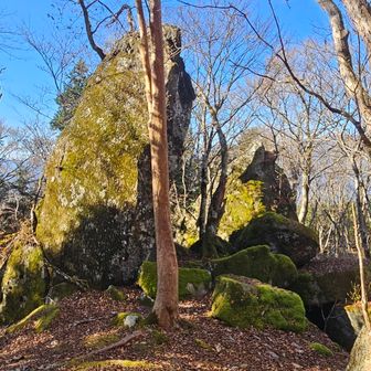 3つの大岩
山名の由来はおそらくこの岩なのかな